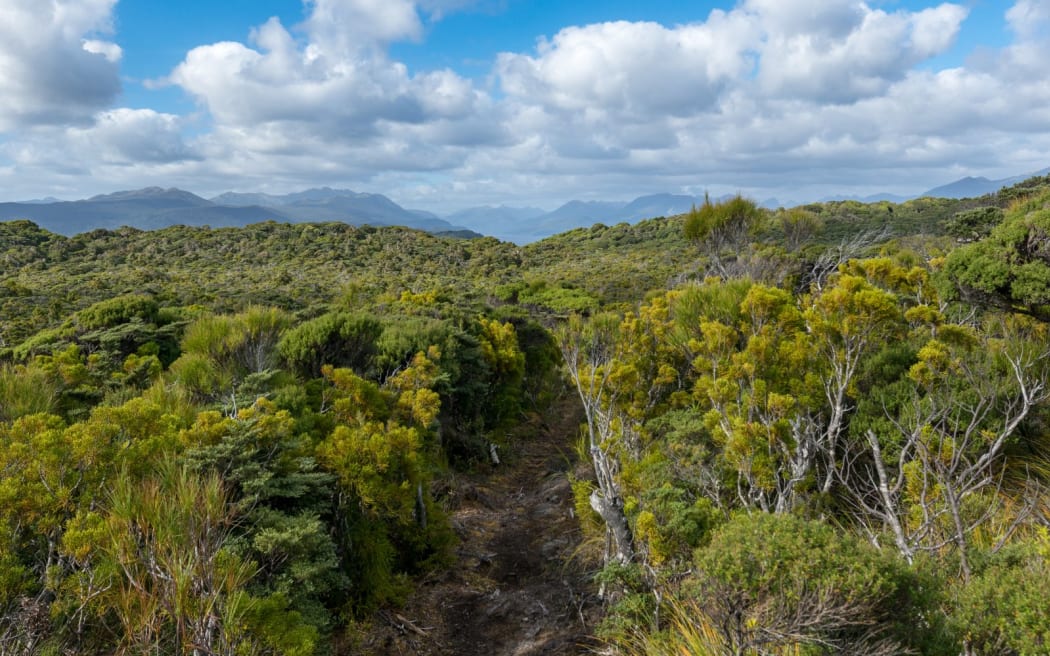 Chalky Island/Te Kākahu-O-Tamatea.