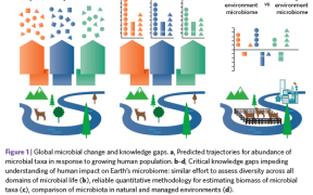 Earth Microbiome