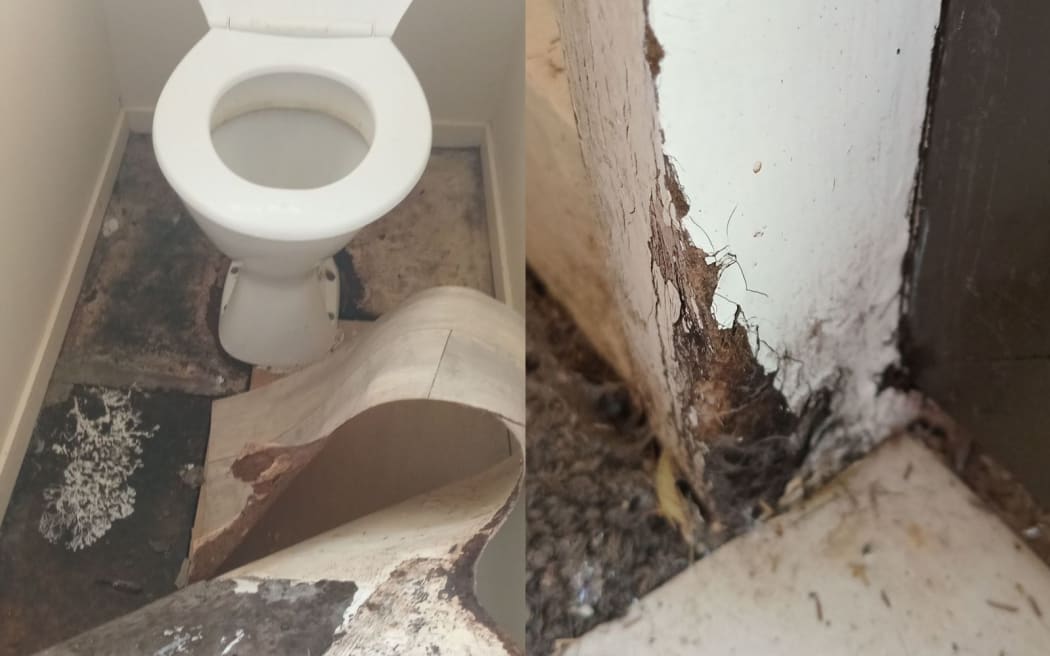 Mould under the toilet room and rotting a corner.