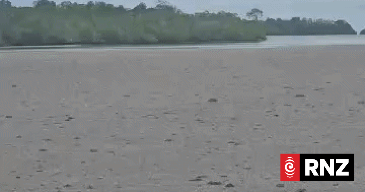 'This is a disaster': Huge pumice rafts from volcano hit Manus Island ...
