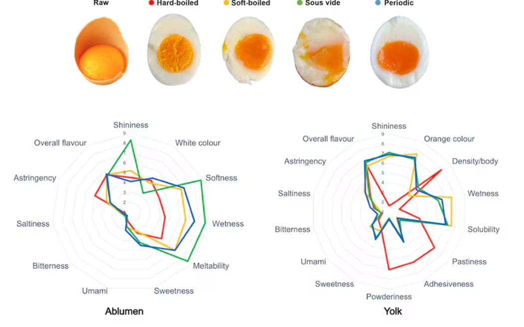 A food sensory analysis of egg characteristics. Red: hard boiled; yellow: soft boiled; green: sous vide; and blue: periodic.
