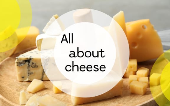 The words "All about cheese" is superimposed over abstract shapes resembling plates and textured background.