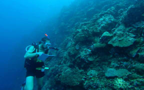 Antony Vavia identifying different substrate types in Coral in Solomon Islands.