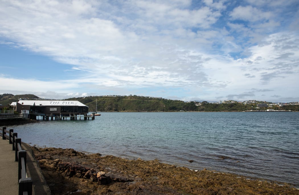 Evans Bay in Wellington during the Covid-19 alert level four lockdown.