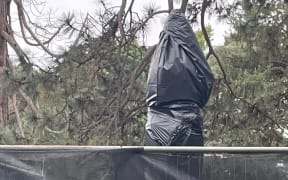 Police are investigating the decapitation of two prime minister's busts in the Ballarat Botanical Gardens.