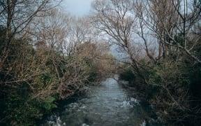The Mangaore Stream, which flows down from the Tararua mountain range and through Shannon.