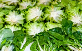 A pile of silverbeet and lettuce in a supermarket (file)