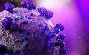 View of a Coronavirus Covid-19.