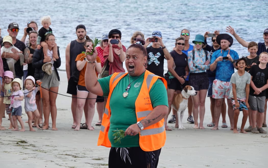 Kaikaranga Charlaine Rahiri encourages the turtles to return to the realm of Tangaroa.