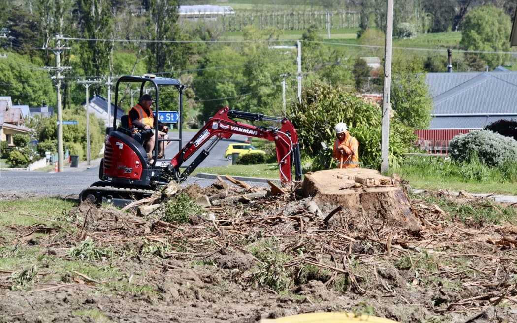 What is left of the tree that fell on Robyn Hale's home, after severe spring storms, in October, 2025.