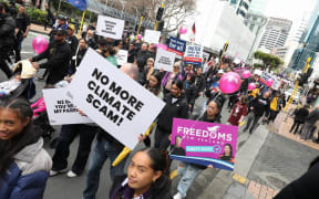 Protesters advertising the Freedoms NZ party march.