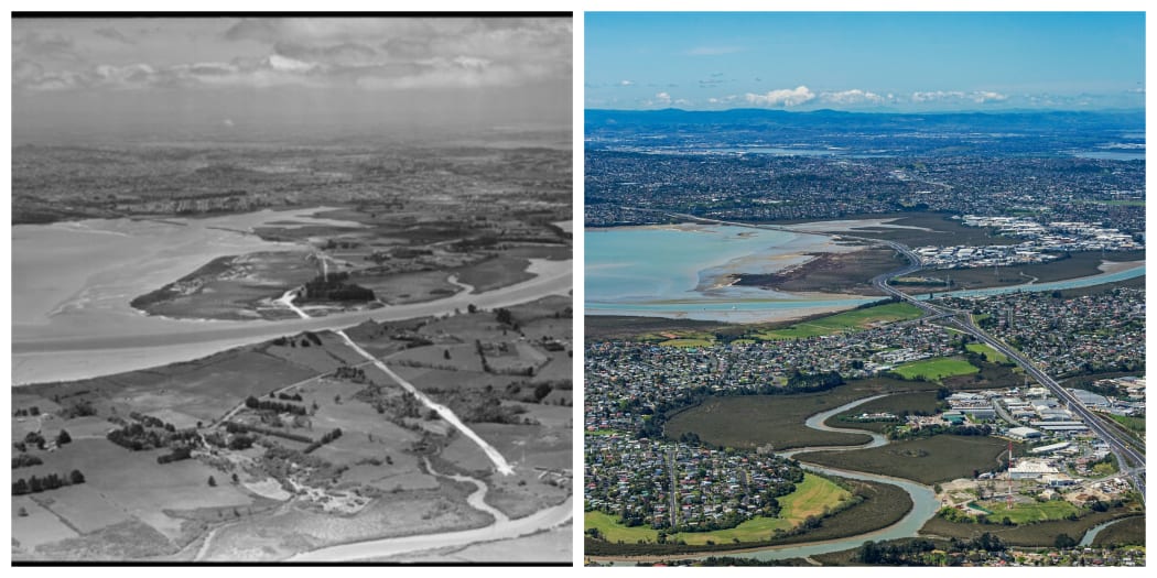 Te Atatu peninsula, left in 1951 before the Northwestern motorway was constructed and right, in 2018. Photo credits: WA-29674-G, Whites Aviation, Alexander Turnbull Library. Bruce Clark, Incredible Images