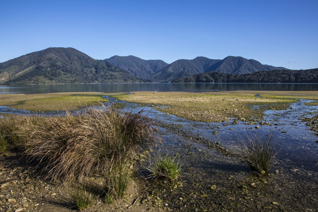 Kenepuru Sound