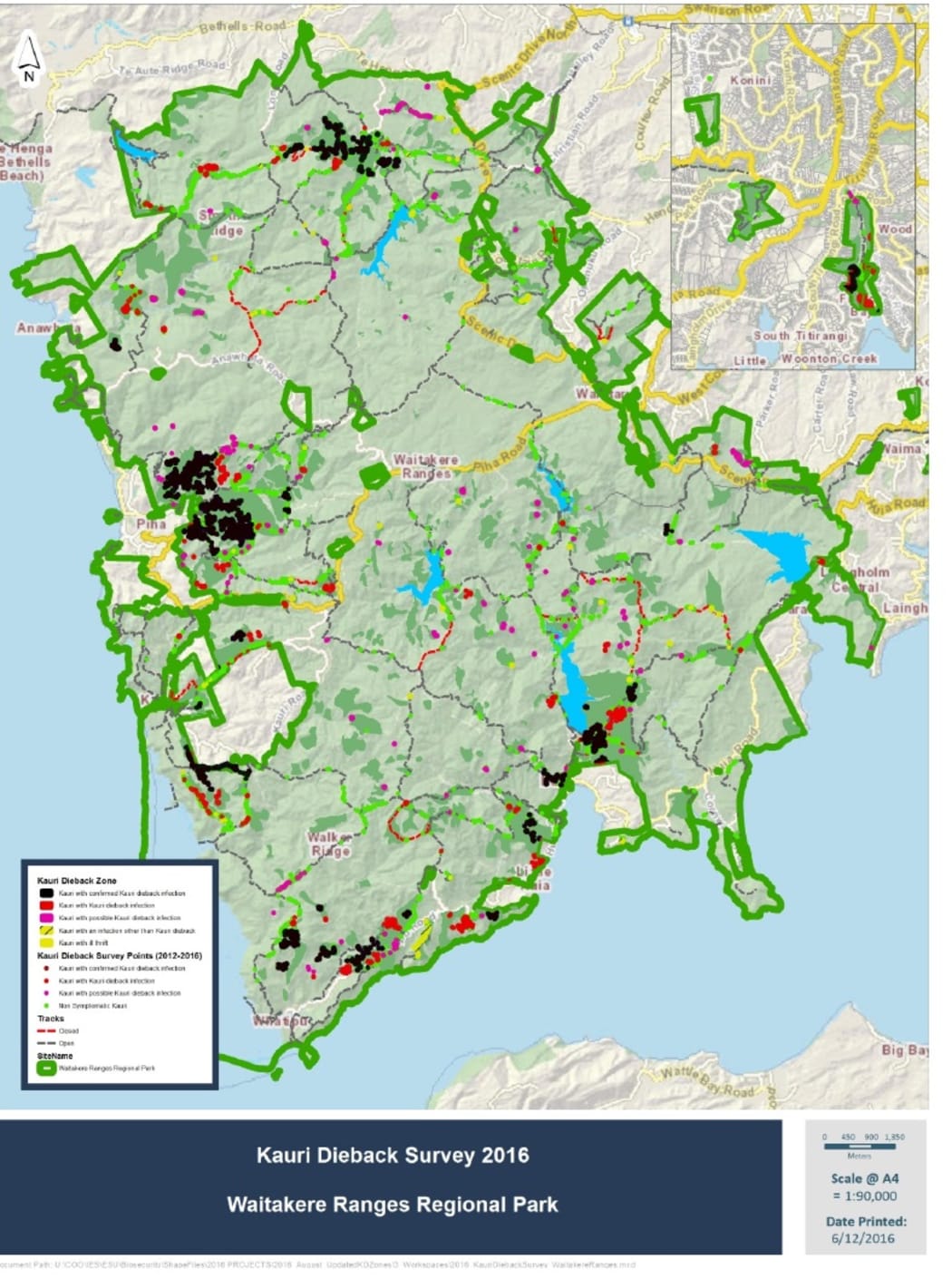 A map showing kauri and kauri dieback distribution within the Waitakere
Ranges Regional Park 2016.