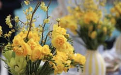Yellow roses mark the announcement of the official opening date of Ikea in Auckland.