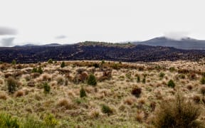Fire and Emergency NZ says it's still working to see if the fire is completely out