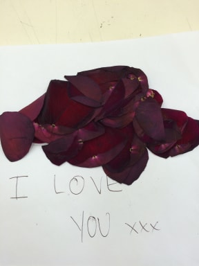 The rose petal-strewn love letter that Cleo detected