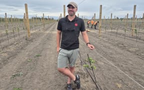 Craigmore's business manager of development Shane Flynn oversees its apple orchard developments in Hawke's Bay and Gisborne.