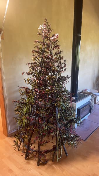 Steve Anderson's Christmas tree made out of flax.