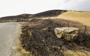 A vegetation fire has burnt through land and fences on Waikari Valley Road in Canterbury. Photo taken - 19 February 2024.