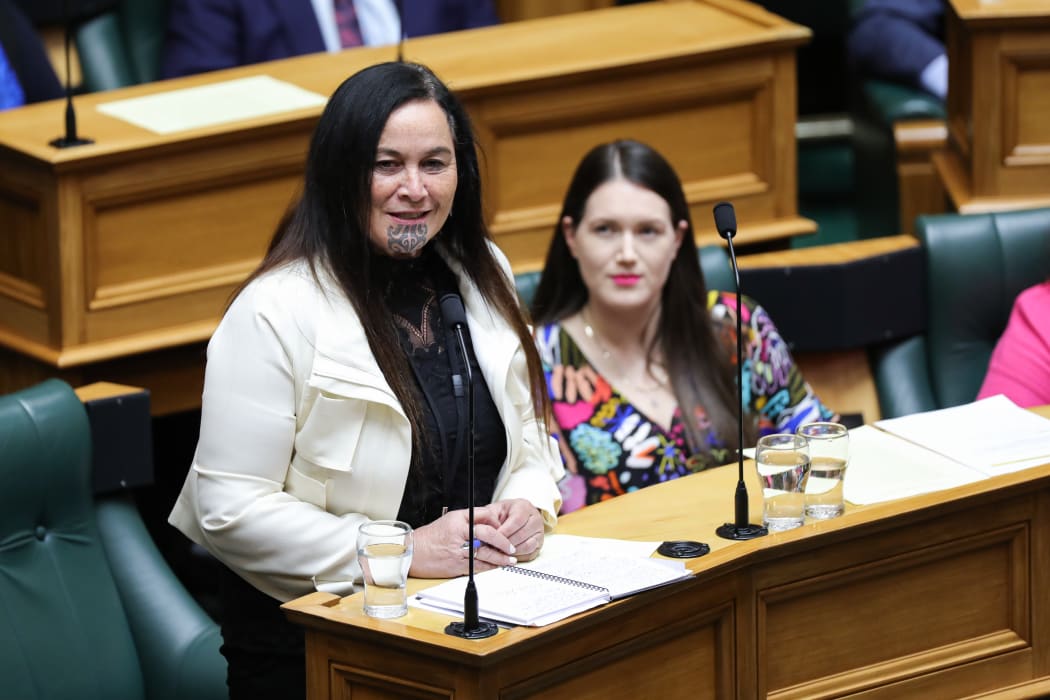 Te Paati Maori MP Debbie Ngarewa-Packer in the House