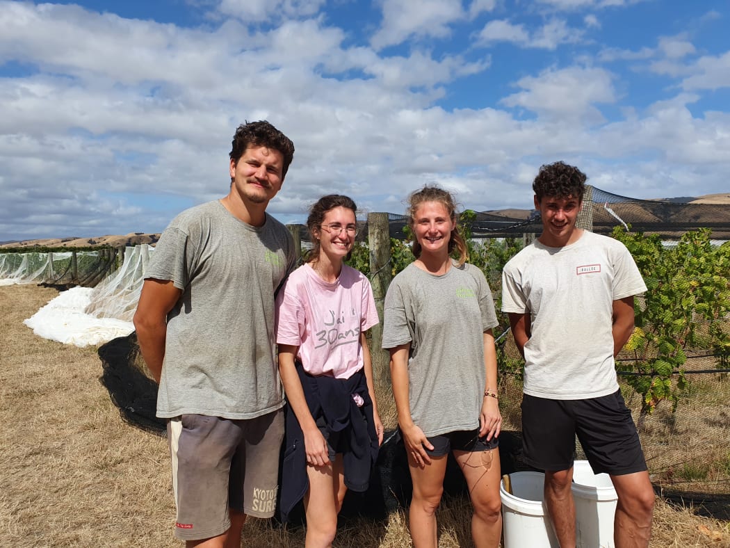 Luciano Pani, Juliette Baldes, Marielle Hiettelet and Arthur Bougeant helped net Te Hera Vineyard