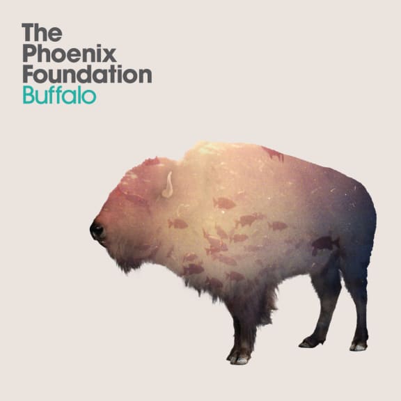 Buffalo - Phoenix Foundation album cover