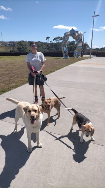 Billy Douglas walking three dogs on leash outdoors.
