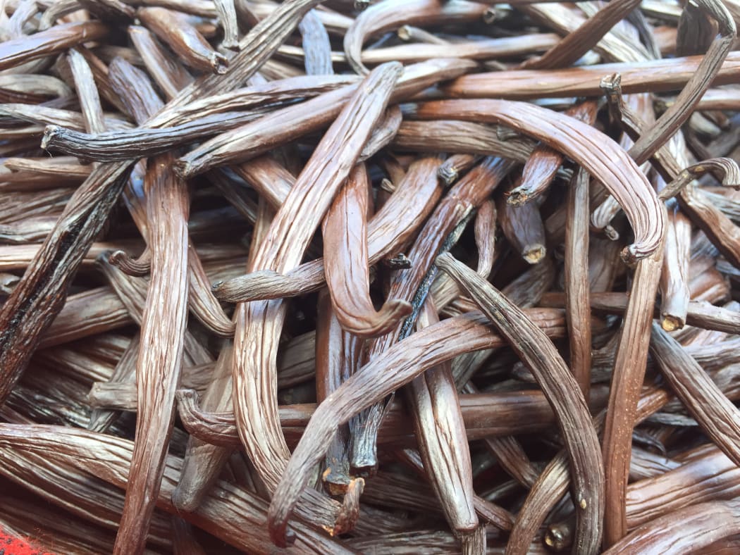 Vanilla pods grown in the Cook Islands.
