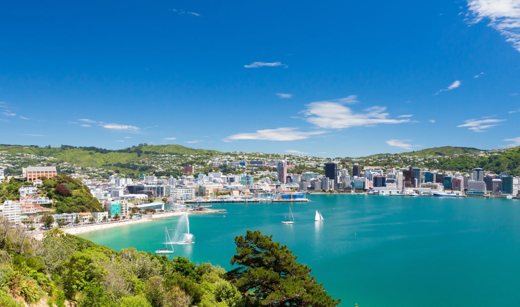 20931757 - view from mount victoria into the bay of wellington  capital city of new zealand