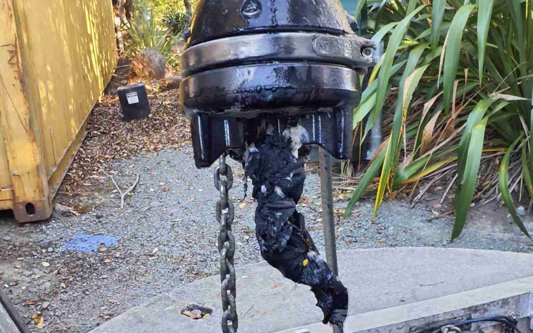 Wet wipes and clothing are some of the most common culprits of pump station blockages which cost Nelson ratepayers $160,000 in the 2022/23 financial year.