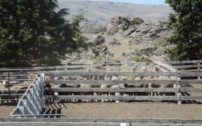 Drought has been declared in Otago and Southland.