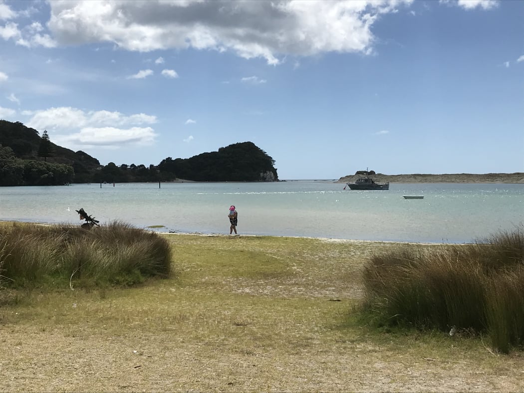 Mangawhai Harbour's outgoing tide, a potential KDC wastewater discharge option