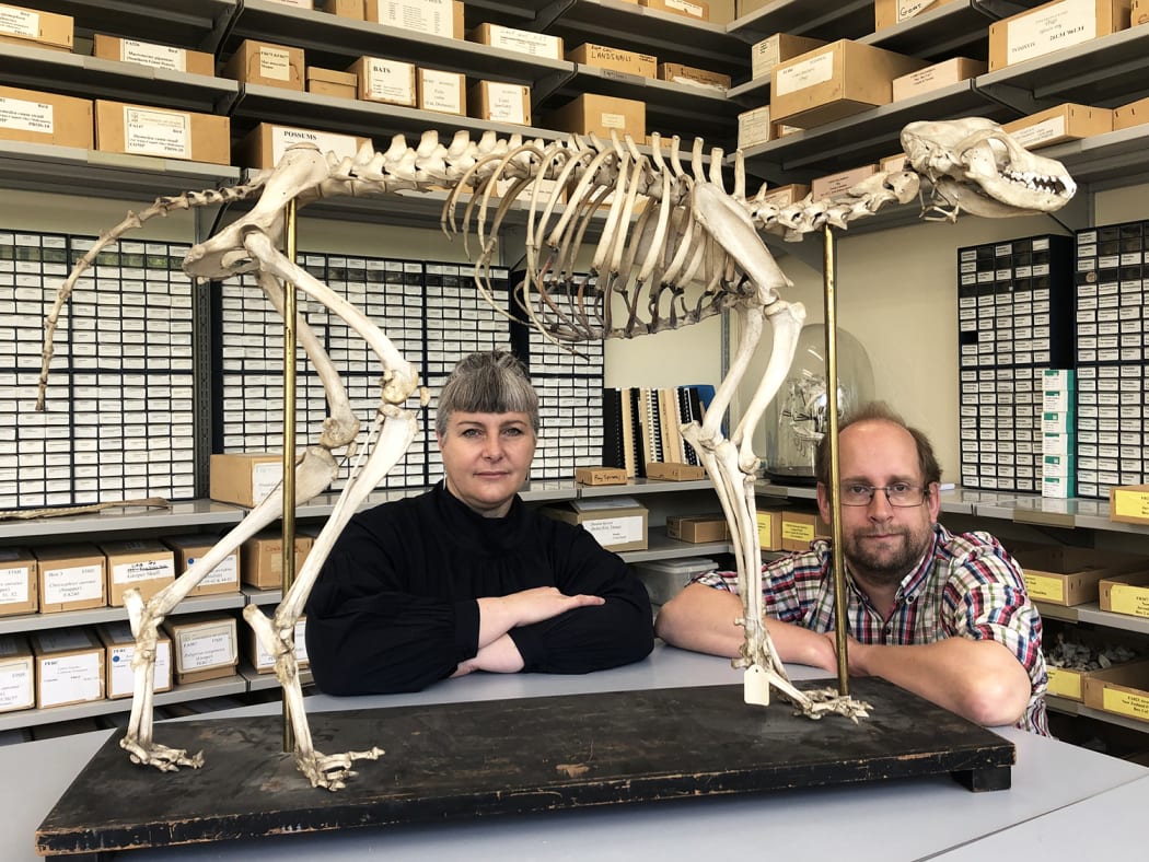 Dr Karen Greig, Co-Director of the Southern Pacific Archaeological Research unit and Dr Nic Rawlence, Director of the Otago Palaeogenetics Laboratory in the Department of Zoology