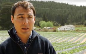 Strawberry grower Boman