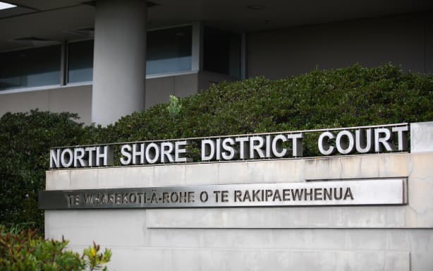 Company admits failing to protect worker safety after fatal fall | RNZ
