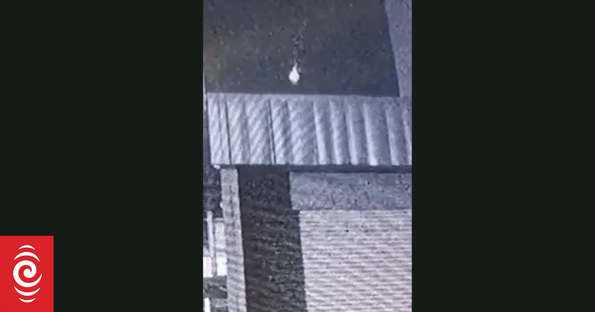 'Right time, right place' - Tauranga meteor captured on camera - Vimarsana News