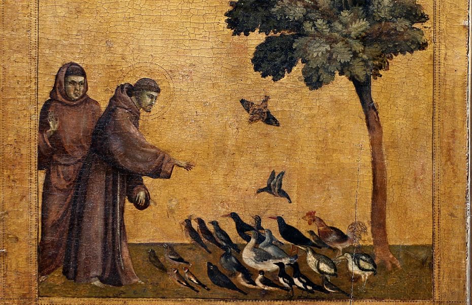 St Francis addressing the birds (Giotto)
