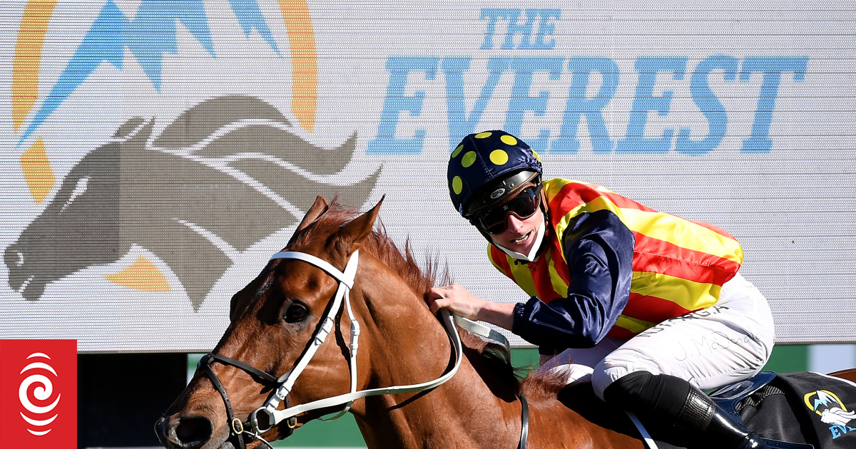 Punter beats odds at The Everest - Vimarsana News