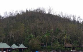 Trees without leaves at Turtle Island Resort in the Yasawas after Cyclone Winston.