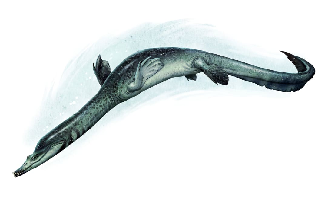 Oldest_Southern_Sauropterygian