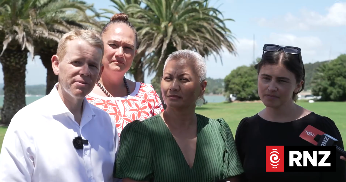 Watch live: Labour and Greens speak from Waitangi Treaty Grounds