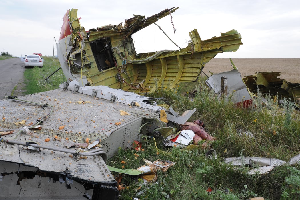 Wreckage of the Malaysian Airlines jet.