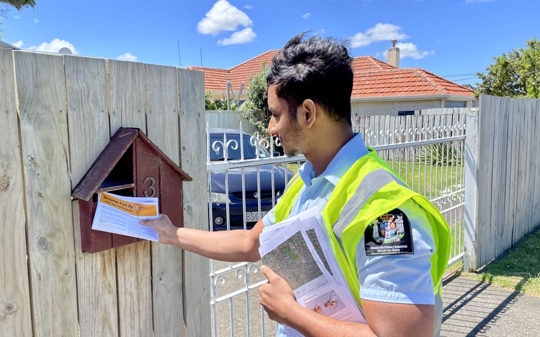 Biosecurity New Zealand officer Gladwin Joseph drops information on Oriental fruit fly into a letterbox in the Papatoetoe area.