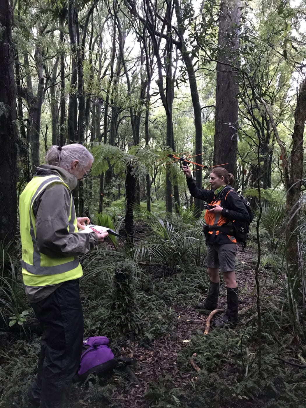 Doug & Zoe searching for robins in the Turitea reserve. Doug holds a clipboard and is noting the compass direction, Zoe holds up an aerial and the biotracker, listening for beeps that means a robin is nearby.