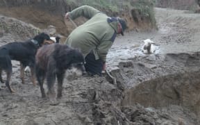 John McBride digging silt left by floods in late June.