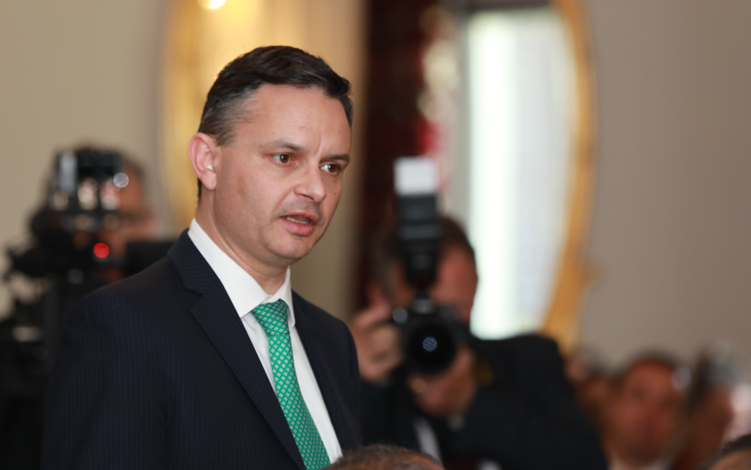 Green leader James Shaw makes his affirmation.
