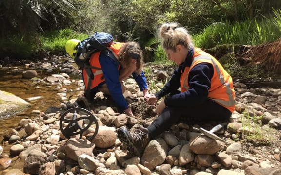Daniel Burgin and Eve Aitken dig through the stones by the stream bed.