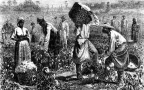 A coton plantation
1875 United States
