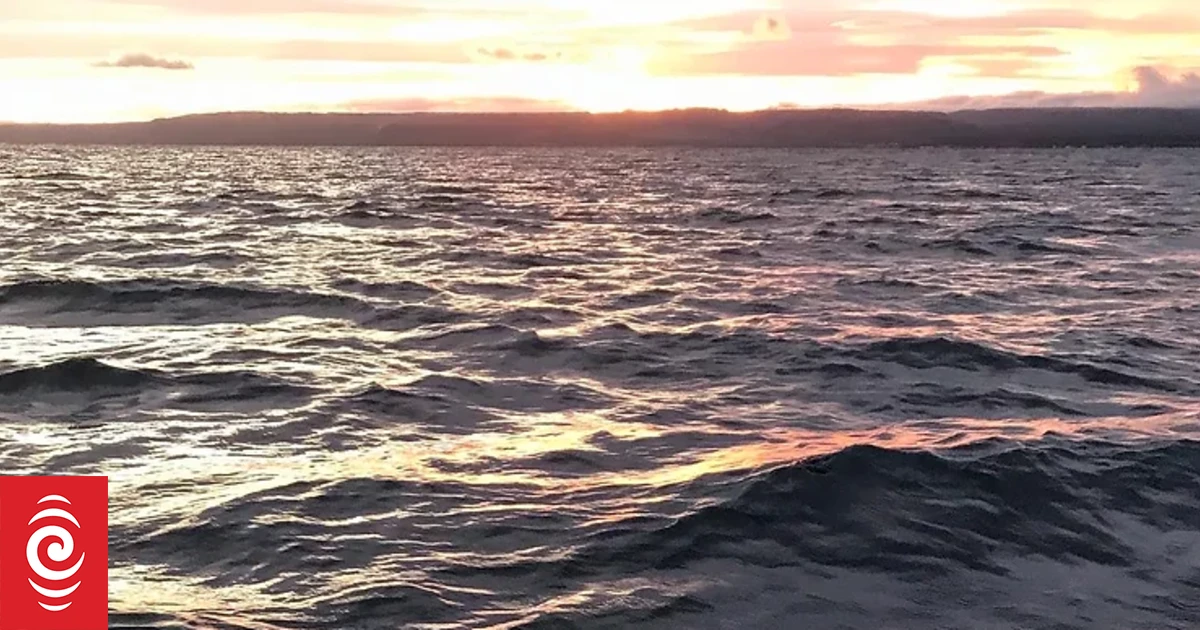 Kiwi Jono Ridler sets new ultra-distance marathon swim record after 33 ...